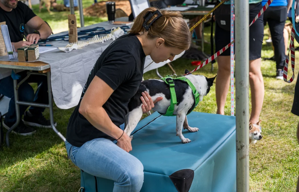chiropractic services in durham nc