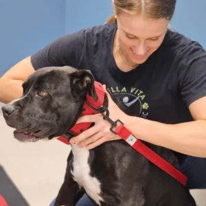 chiropractor durham north carolina